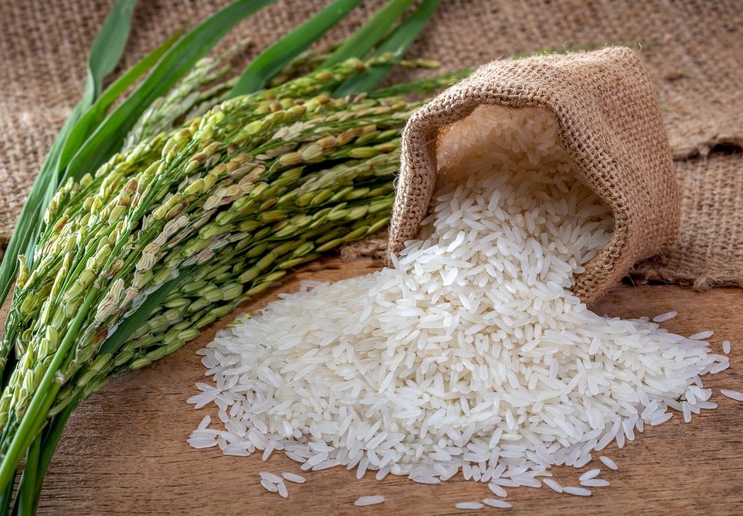 syres capital trading ltd rice